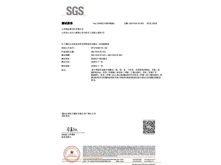 SGS_2021_沉淀硫酸钡